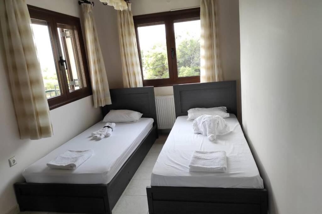 Willa Artemis Penthouse 10 Minute From National Airport Zewnętrze zdjęcie